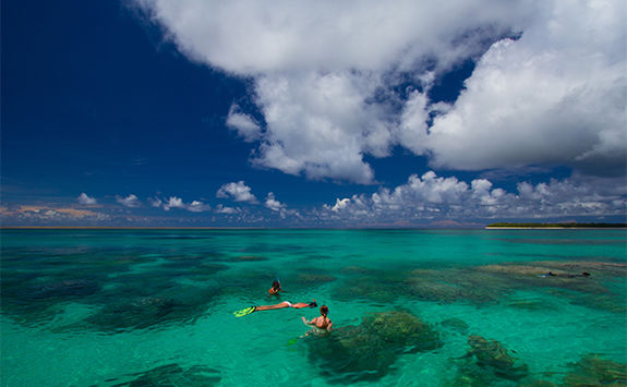 aerial view of snorkelling alphonse