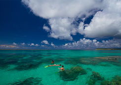 aerial view of snorkelling alphonse