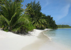 Desroches Island