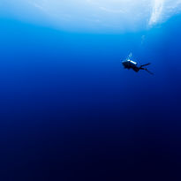 off-the-beaten path diving