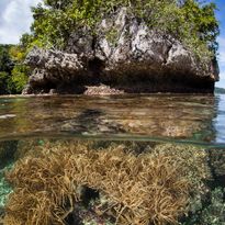 shore diving raja ampat