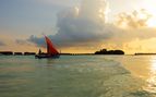 maldives dhoni at sunset