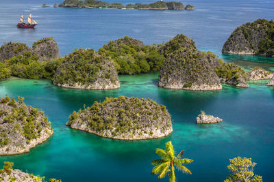arenui raja ampat