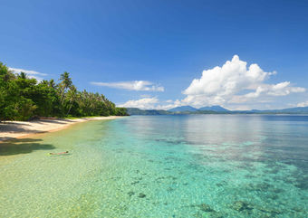 Scuba diving holiday to Northern Sulawesi
