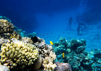 Family diving in Grenada