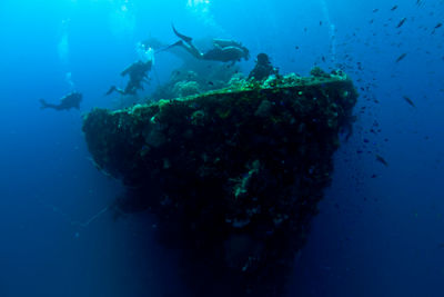 Chuuk lagoon wreck