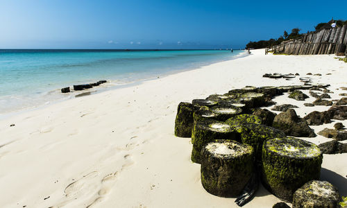 Tanzanian Coast Beach View