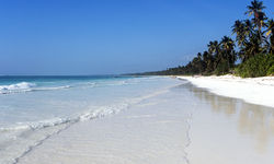 Tanzanian Coast White Beach
