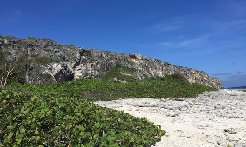 Cliffs and Beach on Cayman Brac