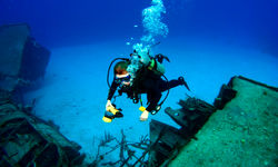 Diver Cayman Brac