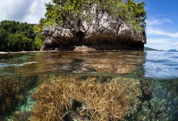 shore diving raja ampat