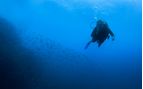 diving in costa rica