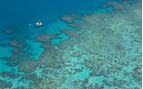 boat on the great barrier reef