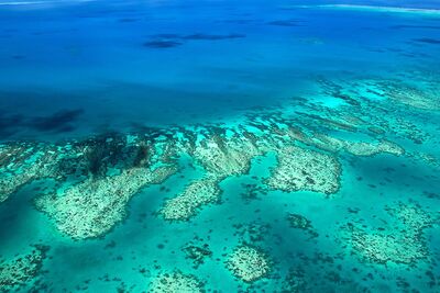 Great Barrier Reef