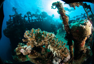 Indonesia Wreck Diving