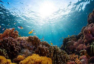 Luxury diving in Bali