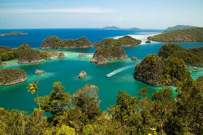 Raja Ampat, Indonesia diving