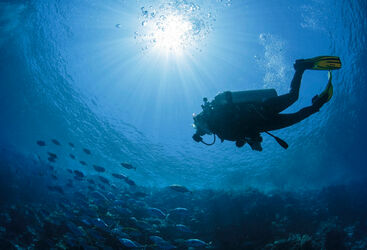 Open Water diving