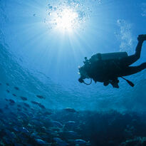 Open Water diving