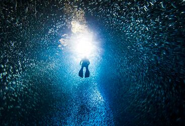 deep water diving