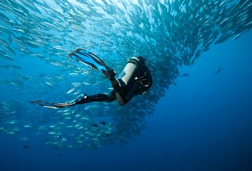 Luxury Diving in the Philippines