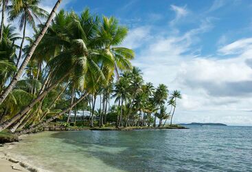 Luxury Diving in Micronesia