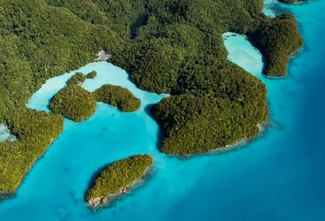 Luxury Diving in Palau