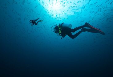 Beginner Diving in The Maldives