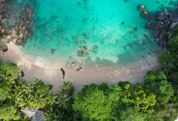 Beginner Diving in The Seychelles