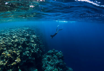 Indonesia Drift Diving