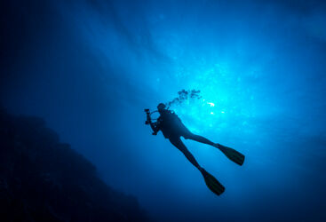 Palau Drift Diving