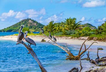 Advanced Diving in Grenada 