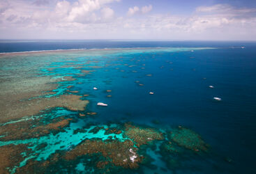 Australia Drift Diving