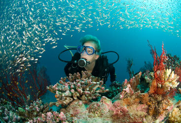 Diver with Coral