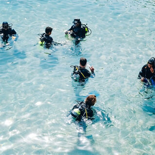 Scuba Diving Training