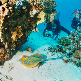 Underwater photographers