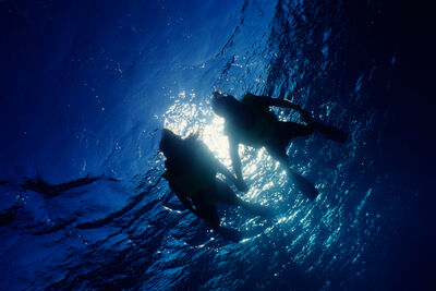 divers in silhouette