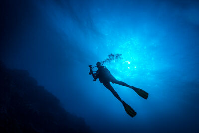 diver silhouette