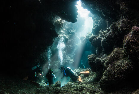 Diver in Cenote