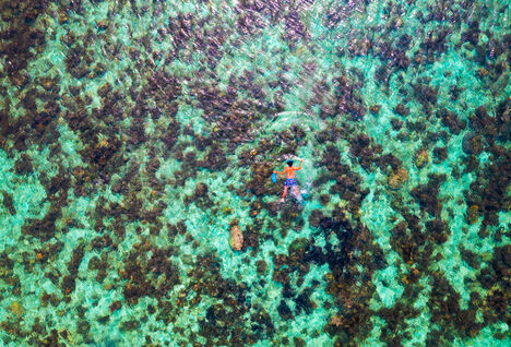 Overhead of snorkeller on the reef