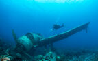 II WW Sunken Airplane Wreck -Palau