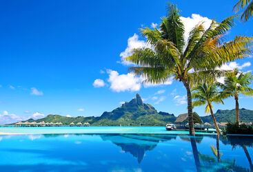 view of bora bora from an infinity pool with blue water and palm trees near by