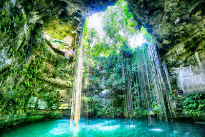 Photo of a cenotes in Mexico with sunlight coming in and lush vegetation around it
