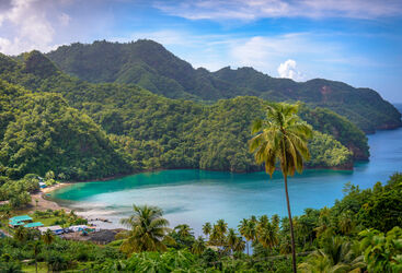 Sea and palm trees in Saint Vincent and the Grenadines