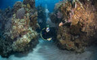 underwater photo of a diver swimming between two coral covered bounders underwater