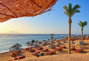 Beach with palms and sun umbrellas, Red Sea, Egypt