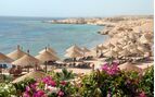 view of a beach with sun umbrellas along the sand and flower in the fore ground