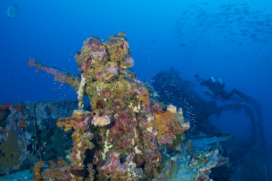photo of a coral covered machine gun on a sunken ship in Chuuk Lagoon with a diver in the background
