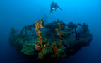a diver jolding a torch swims over the bow of a sunken ships that is covered in coral