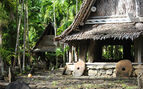 Two men's houses in a village with straw roofs and jungle surrounding it